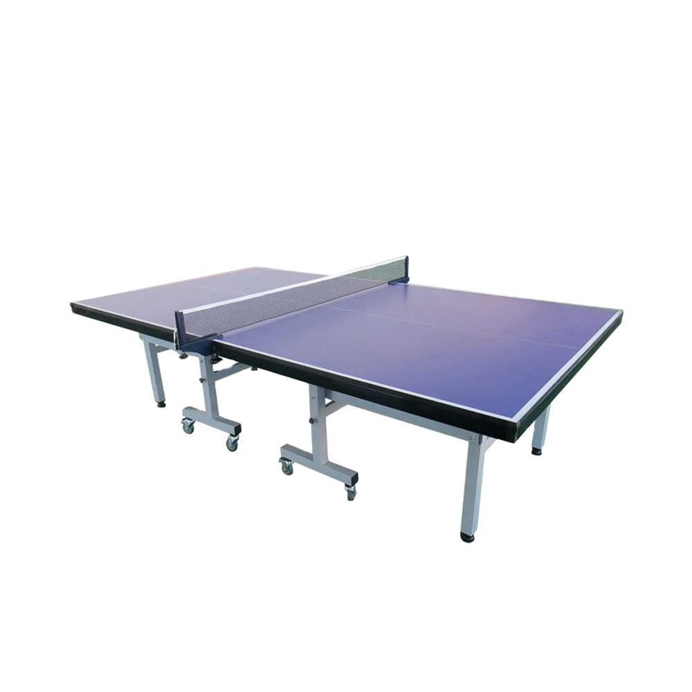 Table Tennis Training - Indoor-Tischtennistisch mit Spitzenqualität