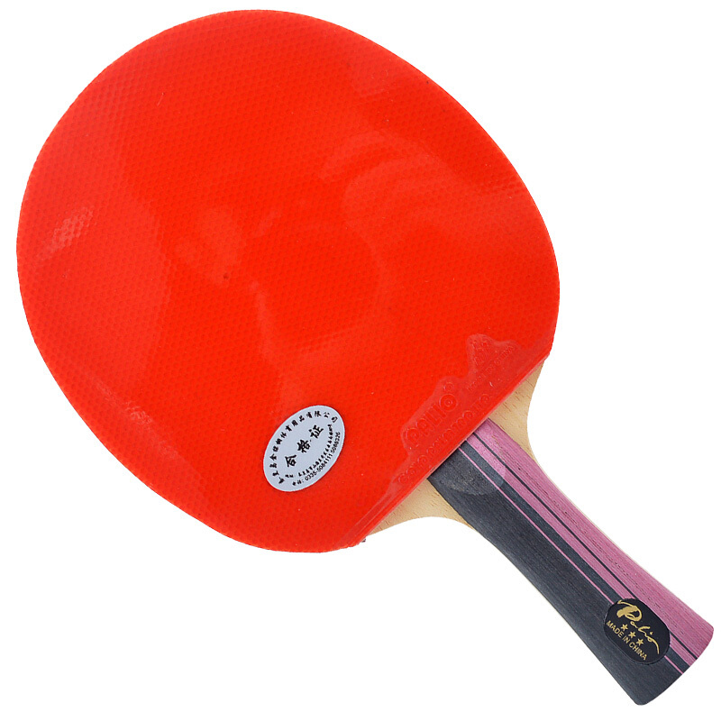 Original PALIO 3-Sterne Carbon – Table Tennis History Bewertung und Preis