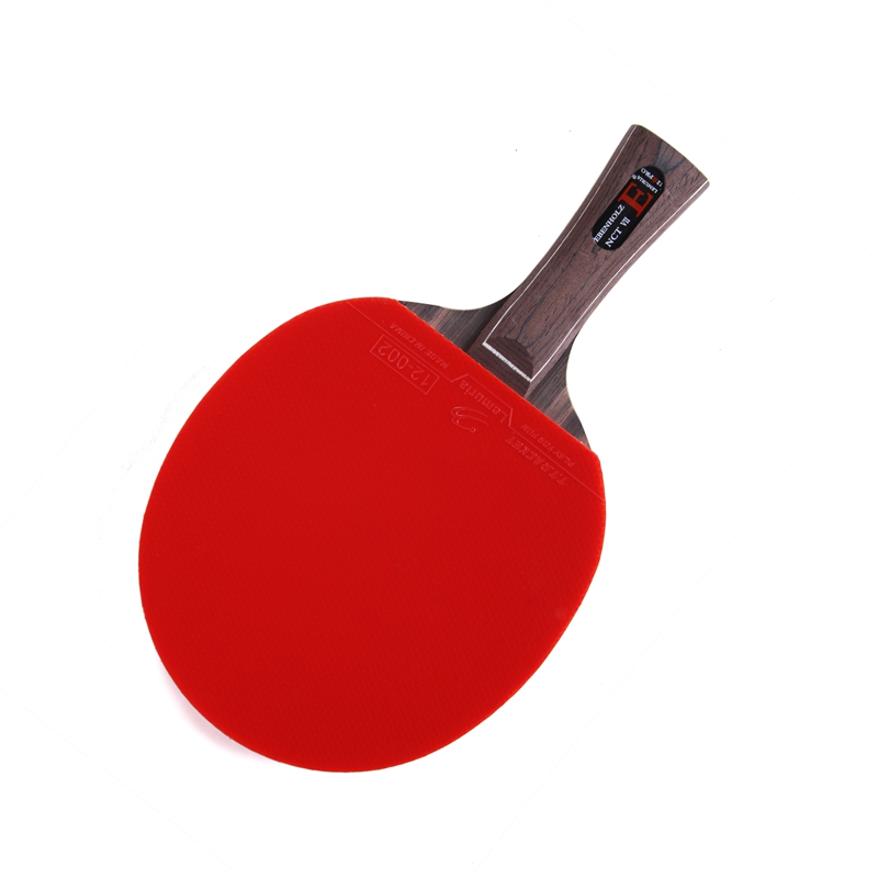 Lemuria EBENHOLZ-Tischtennissc – Table Tennis Yasaka Bewertung und Preis
