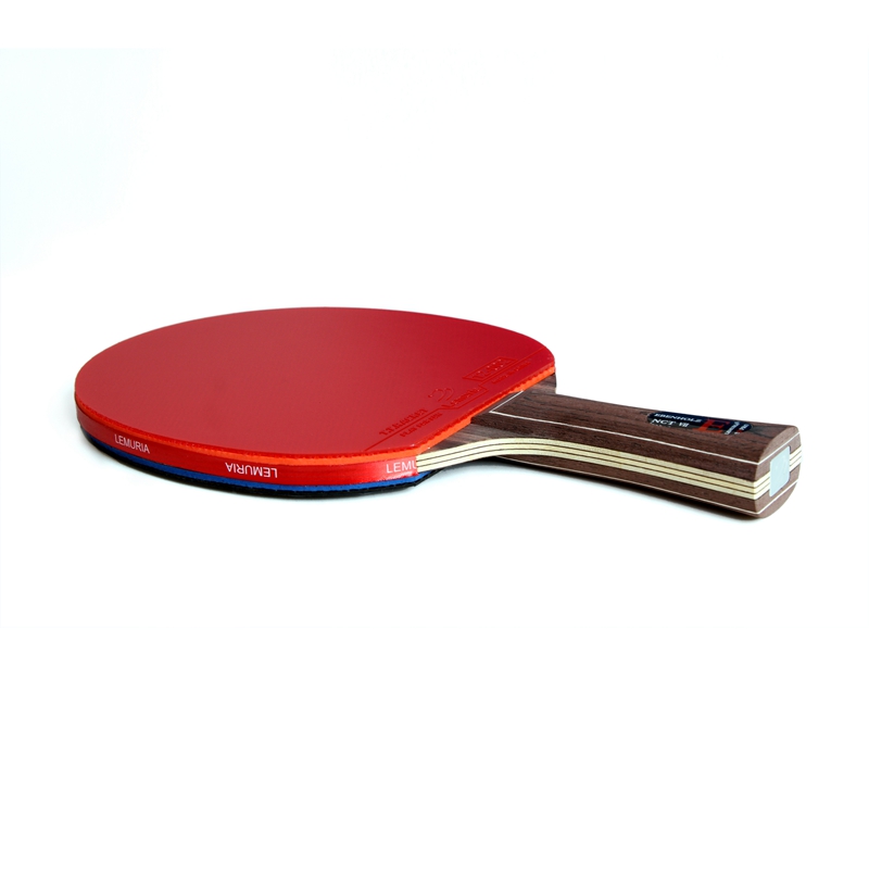Lemuria EBENHOLZ-Tischtennissc – Table Tennis Yasaka Bewertung und Preis