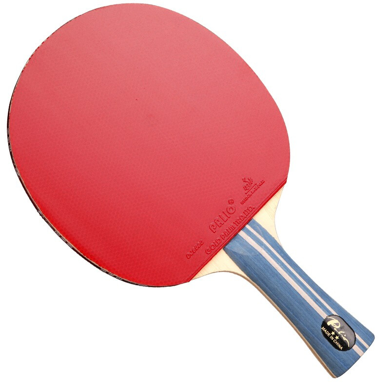 Original PALIO 2-Sterne-Tischt – Table Tennis Ace Bewertung und Preis