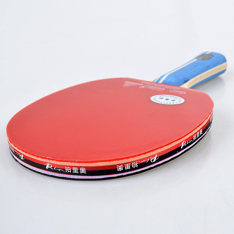 Original PALIO 2-Sterne-Tischt – Table Tennis Ace Bewertung und Preis