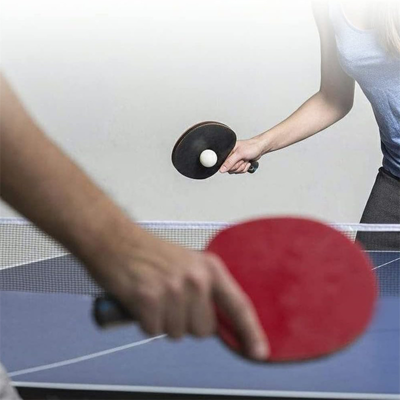 Tragbares Tischtennis netz Pol – Table Tennis Barrier Bewertung und Preis