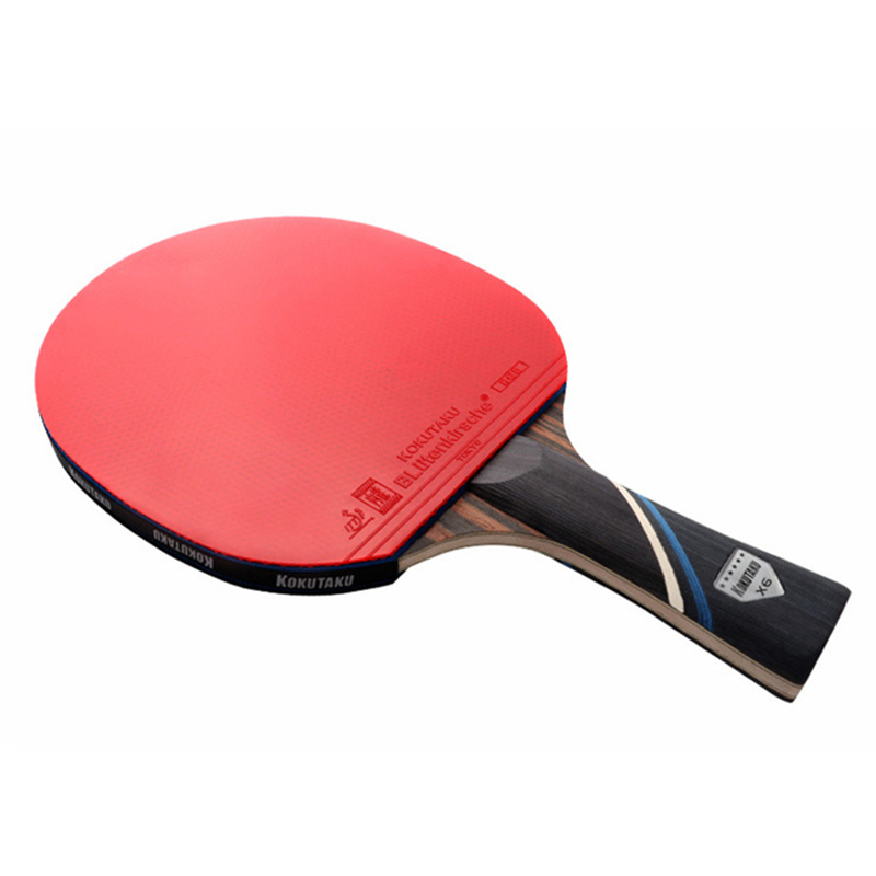 KOKUTAKU ITTF Professionelle 4 – Table Tennis History Bewertung und Preis