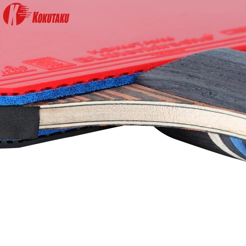 KOKUTAKU ITTF Professionelle 4 – Table Tennis History Bewertung und Preis