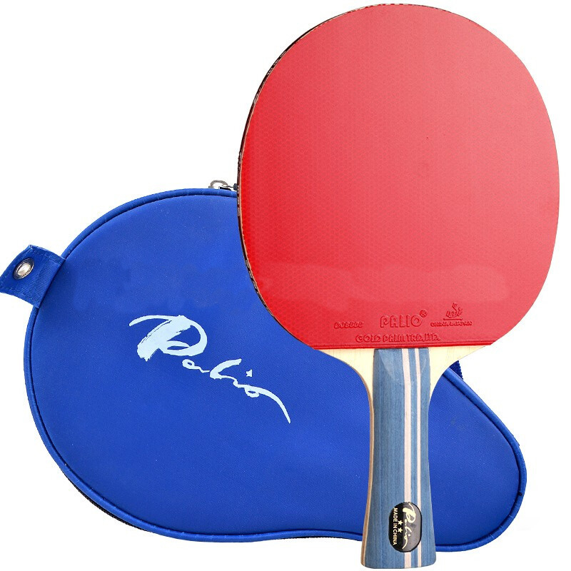 PALIO 2 STERNE Tischtennis Sch – Table Tennis History Bewertung und Preis