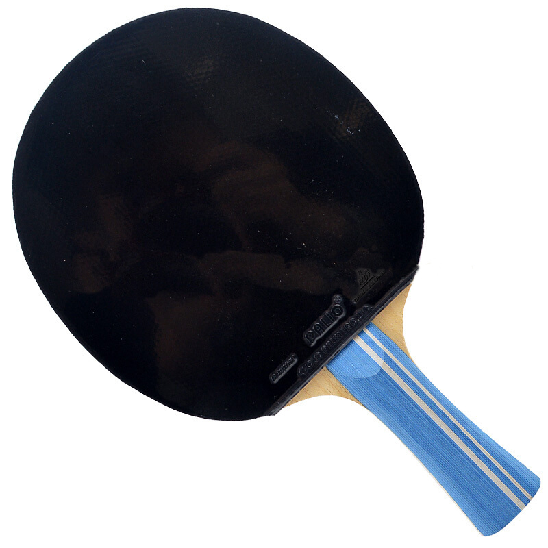 PALIO 2 STERNE Tischtennis Sch – Table Tennis History Bewertung und Preis